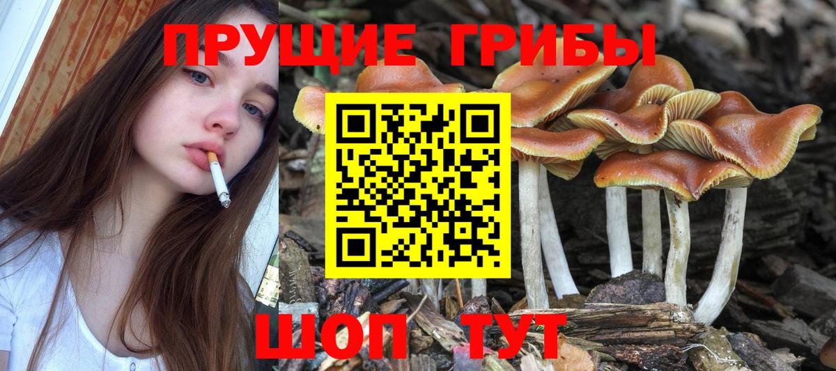 Псилоцибиновые грибы ЛСД  Вход с VPN  Дзержинск  Псилоцибиновые грибы мицелий 