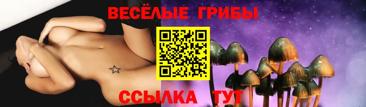 Псилоцибиновые грибы GOLDEN TEACHER Дзержинск